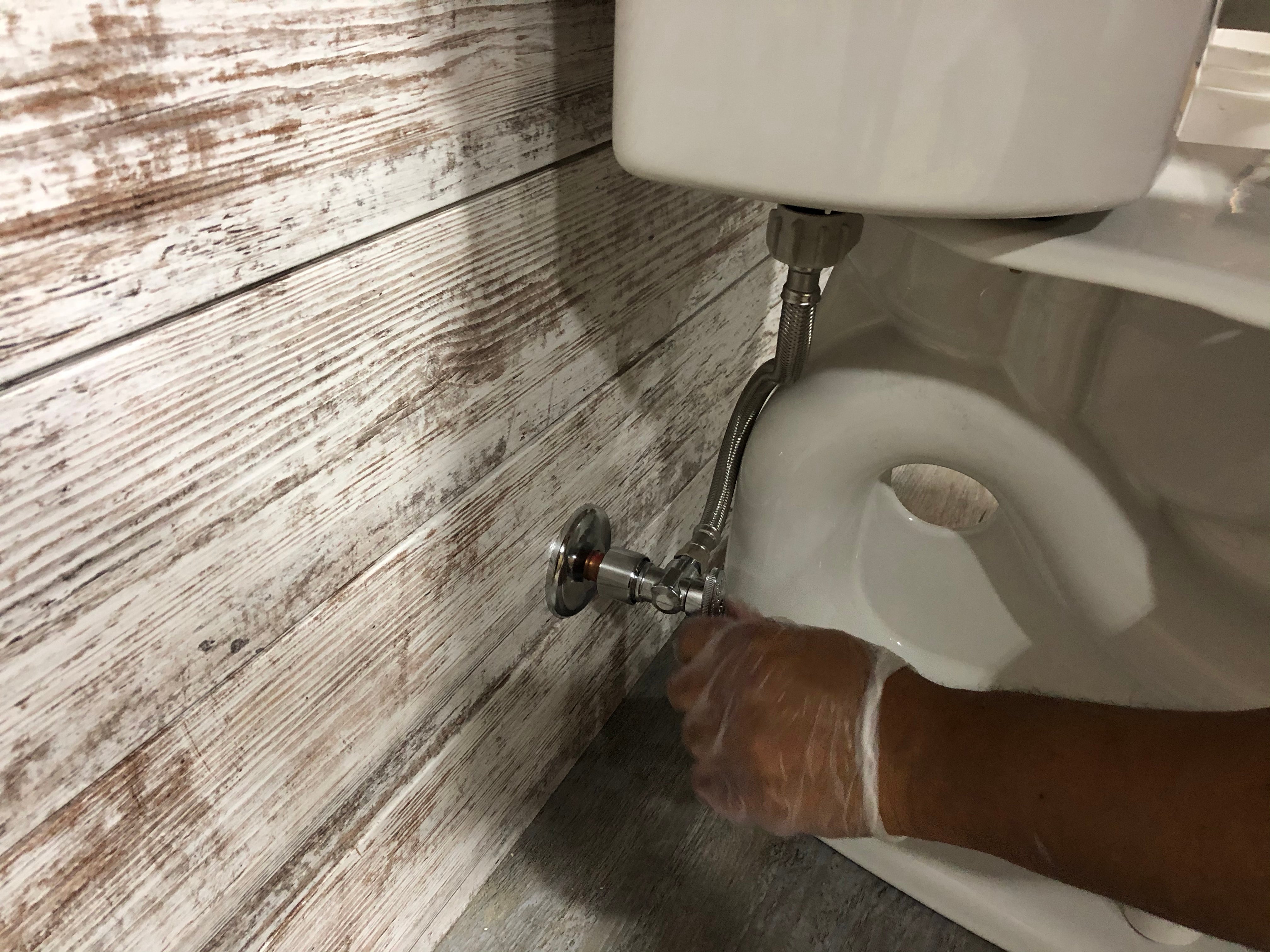 Victoria Plumbing Repair: When To Replace the Toilet Wax Ring