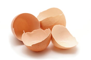 egg shells down drain