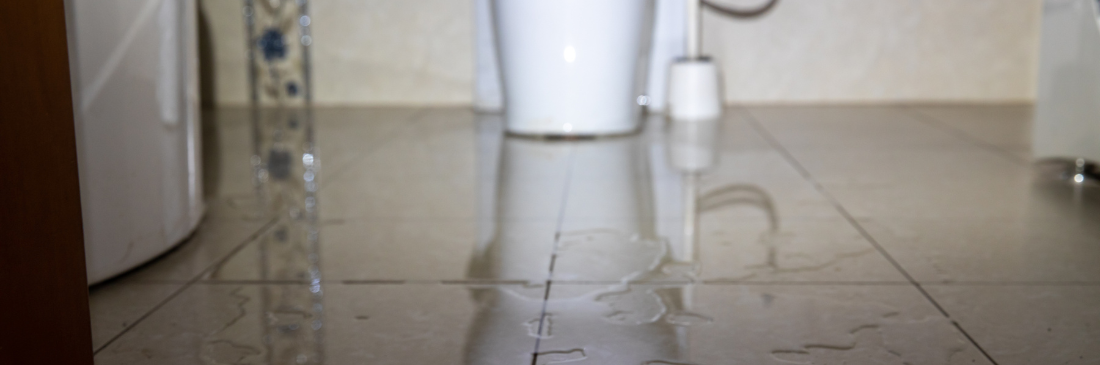 Four Most Common Plumbing Emergencies (and What to Do about Them)