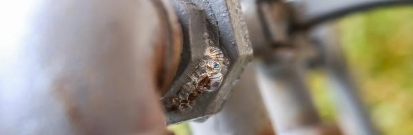 How to Check for a Gas Leak