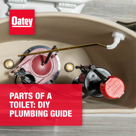 Parts of a Toilet: DIY Plumbing Guide